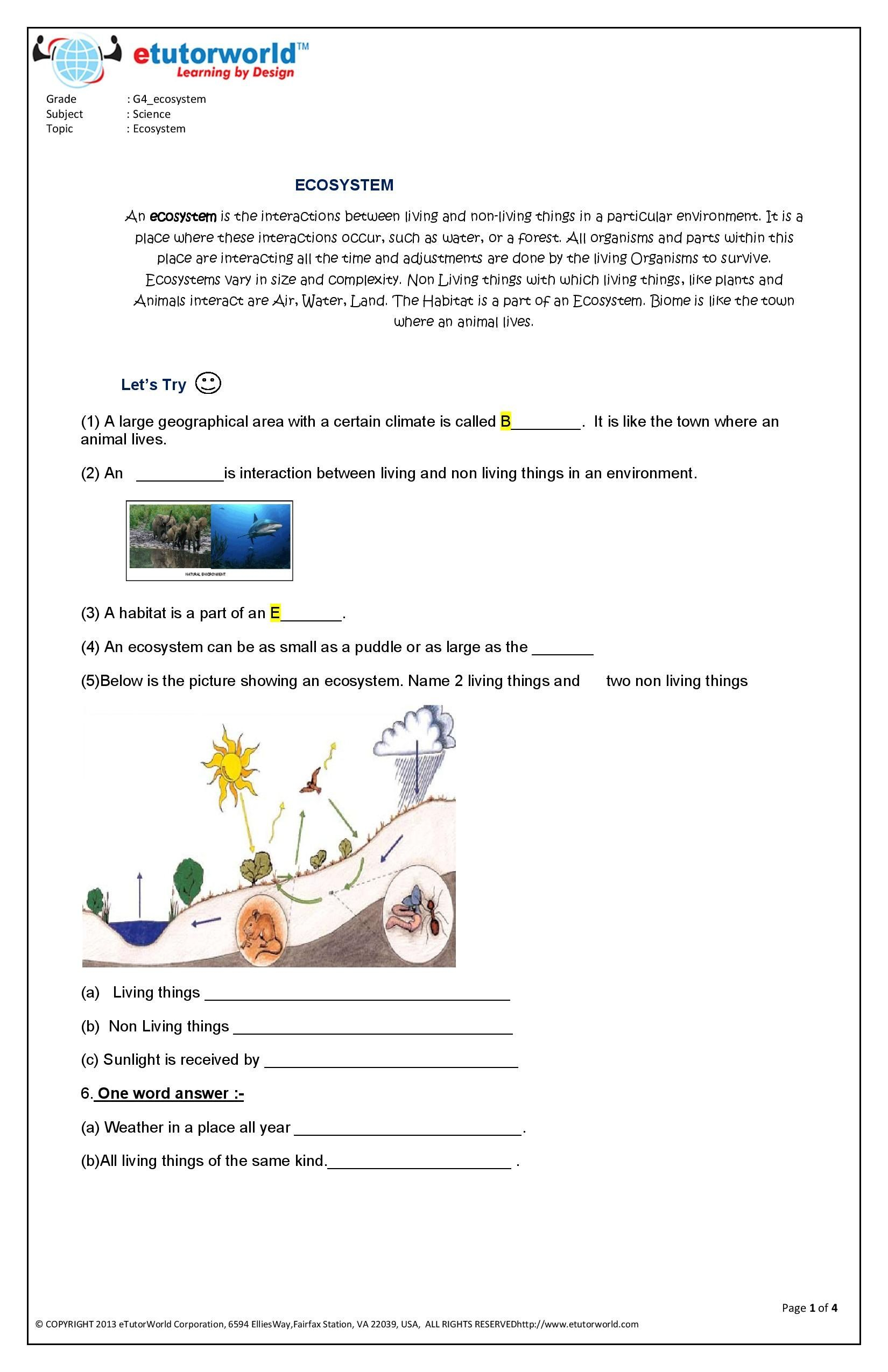 25 Math Worksheets For 4Th Grade Science Free