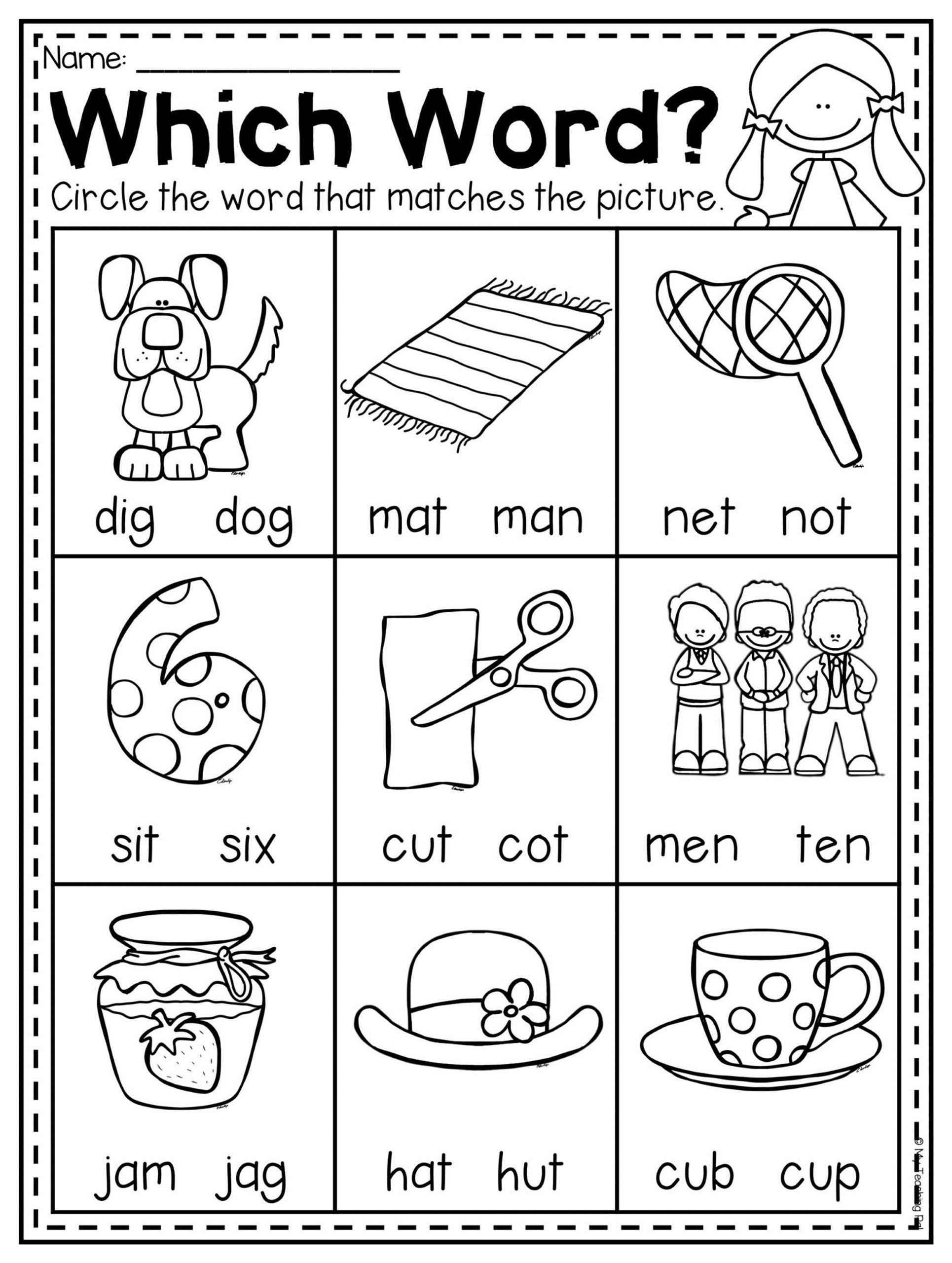 25 Question Words Worksheets For Kindergarten Pdf