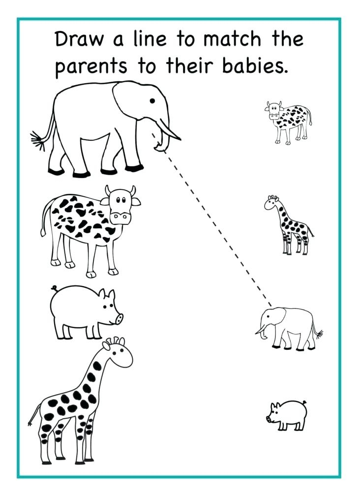 21 Fun Worksheets For Kindergarten Activities Printable