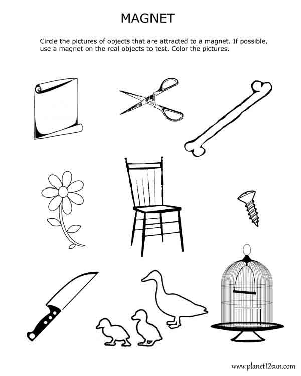 21 Kindergarten Worksheets Free Printables Science