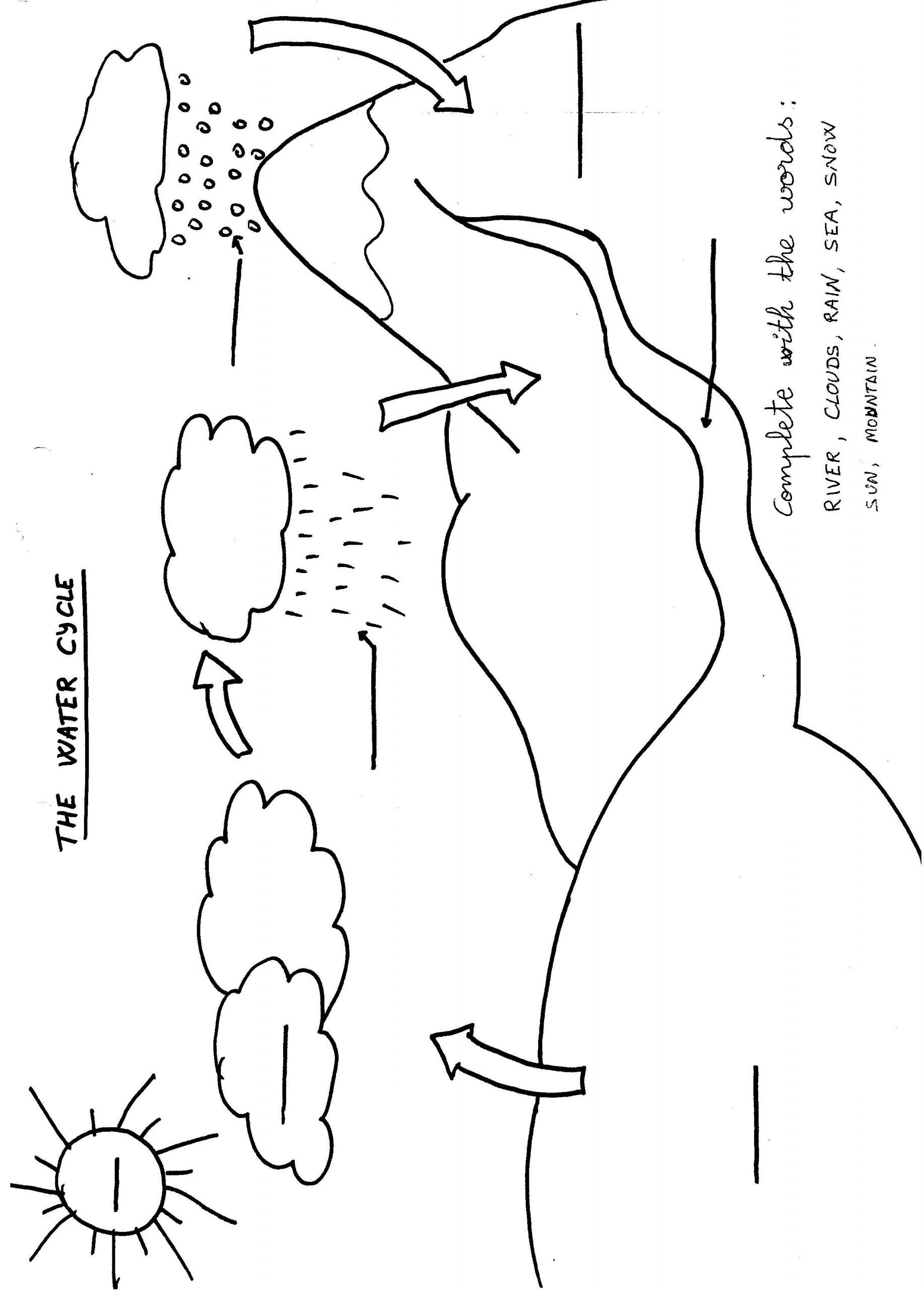 21 Kindergarten Worksheets Free Printables Science